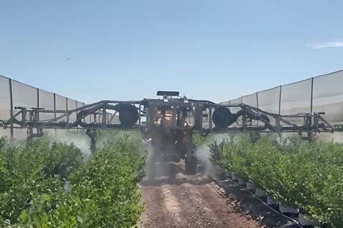 Aplicaciones Fitosanitarias Arandanos