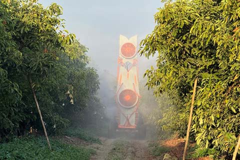 Aplicaciones Fitosanitarias Arandanos