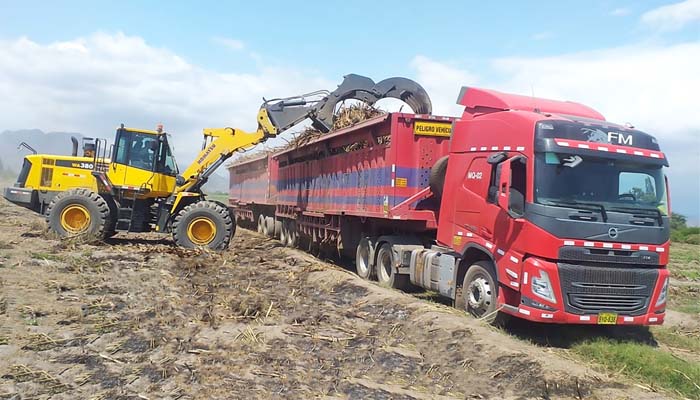 Cargador frontal en proceso de recolección de caña de azúcar, Maquinpe Group