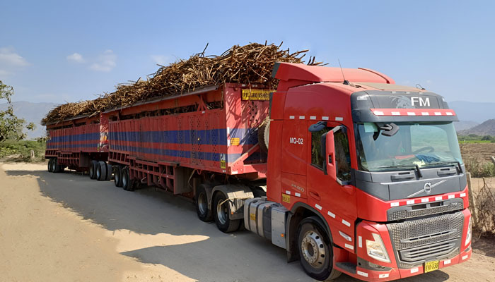 Tractocamión Volvo transportando caña de azúcar en campos peruanos, Maquinpe Group